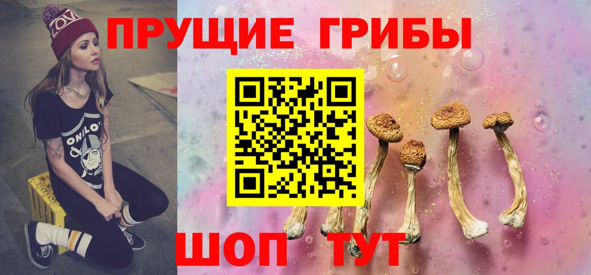 Ипатово  Галлюциногенные грибы Psilocybine cubensis  Псилоцибиновые грибы прущие грибы  Вход с VPN 